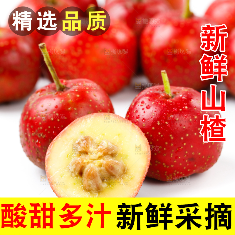白底上的新鲜山楂