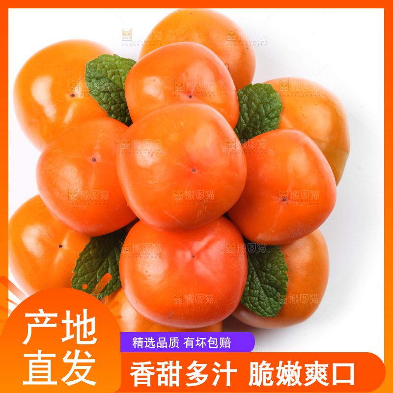 白底上的脆柿