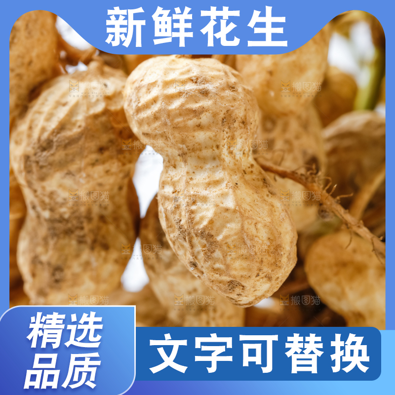 一堆湿花生
