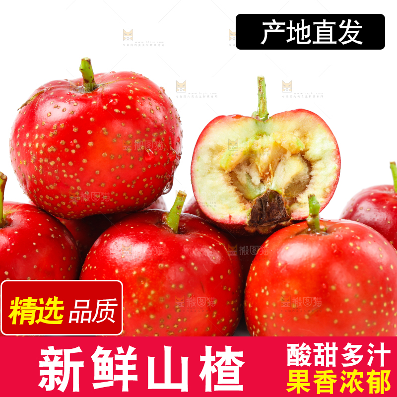 白底上的山楂果