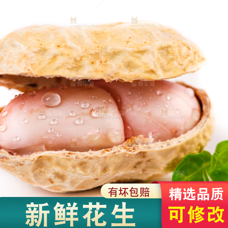 白底上的湿花生