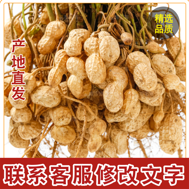 一堆新鲜带壳的花生