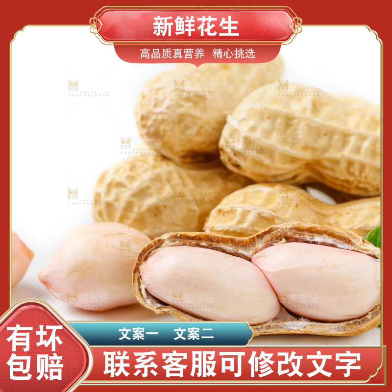 白底上的新鲜带壳花生