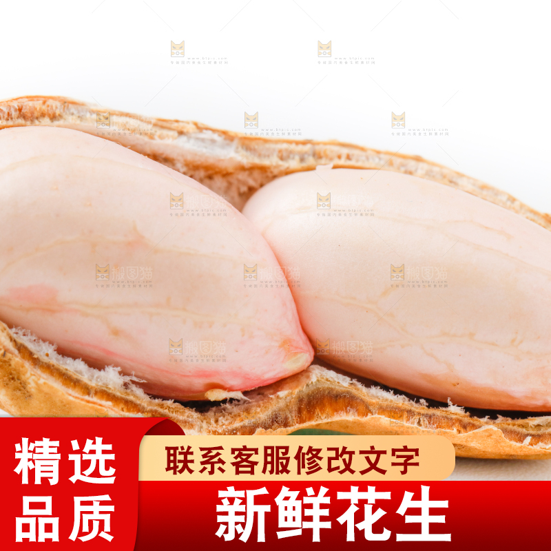 白底上的新鲜带壳花生