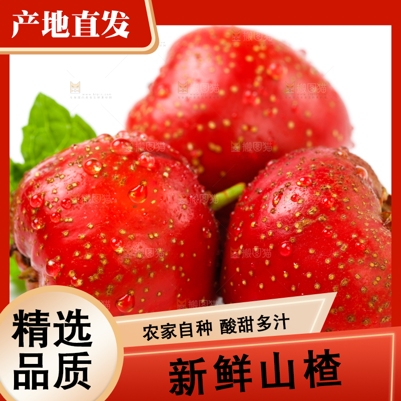 白底上的山楂果