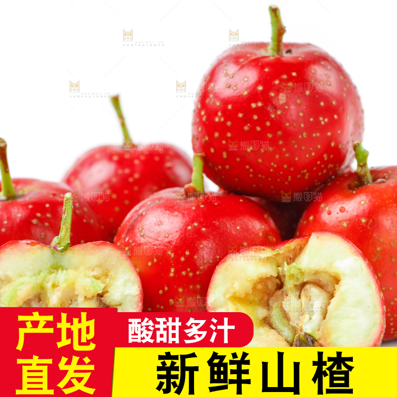 白底上的山楂果