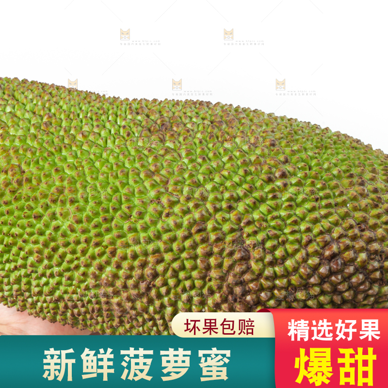 白底上放着一个完整的菠萝蜜