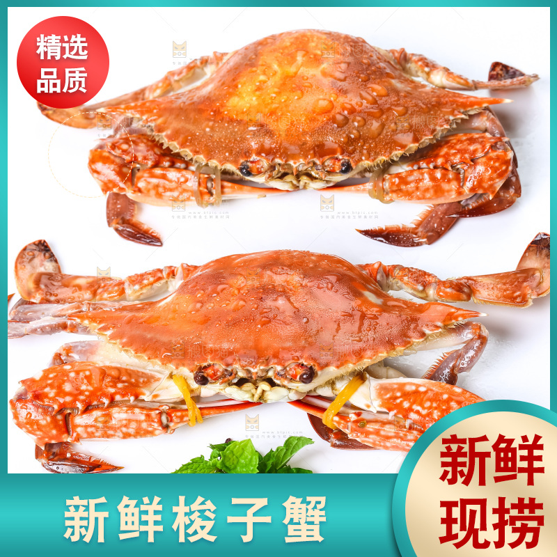 白底上摆放着舟山梭子蟹