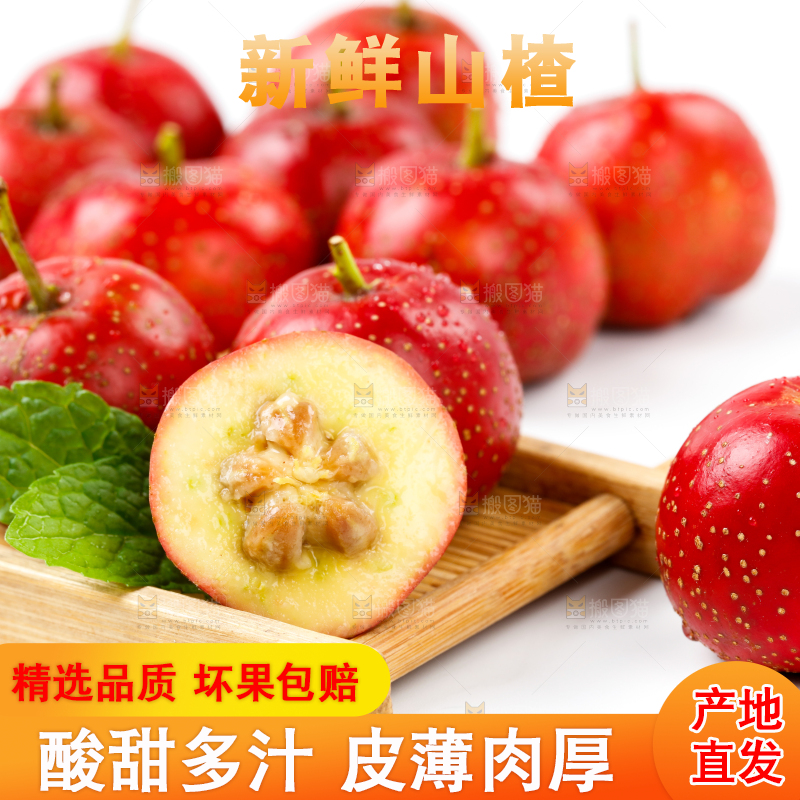 白底上的新鲜山楂