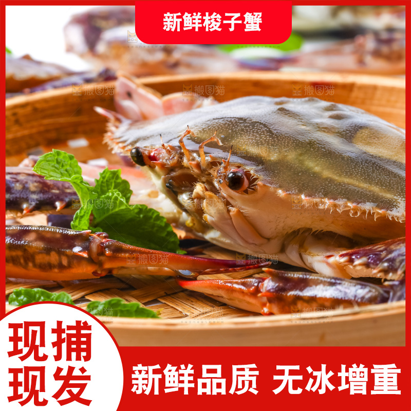 篮子里装着新鲜梭子蟹