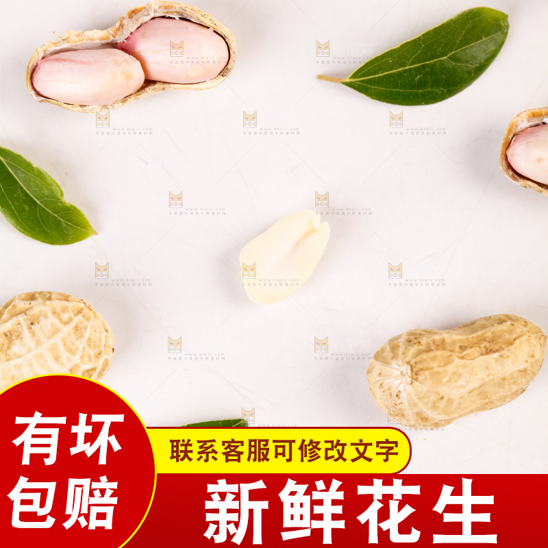 白底上的生花生