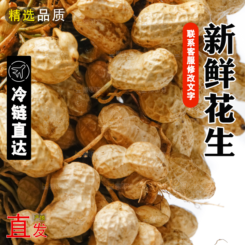 白底上的新鲜花生