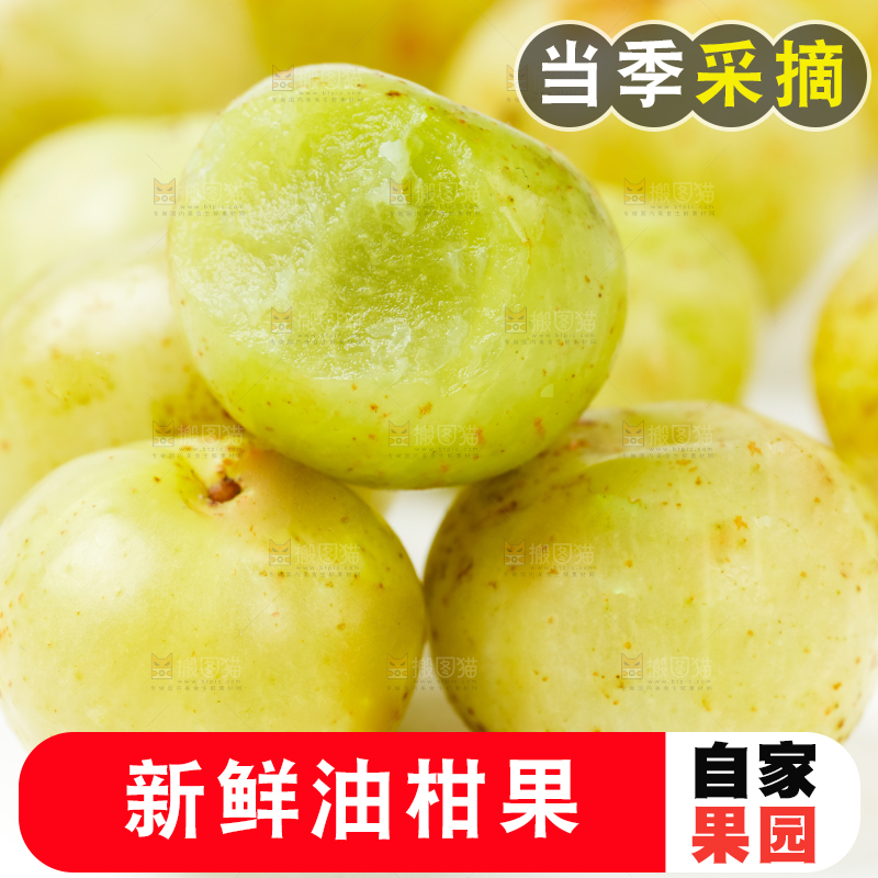 白底上摆放着余甘果