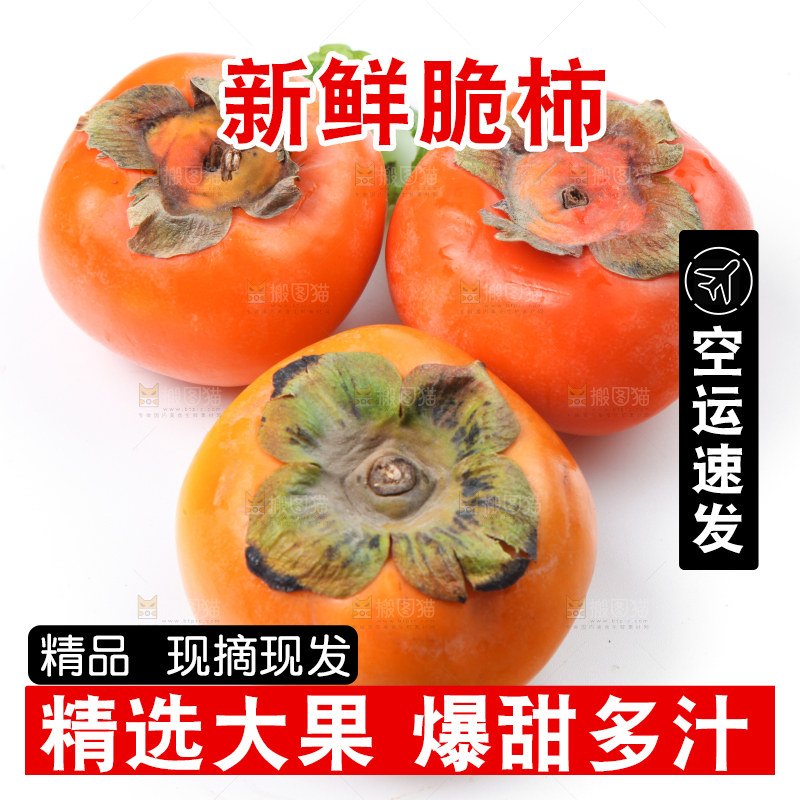 白底上的脆柿