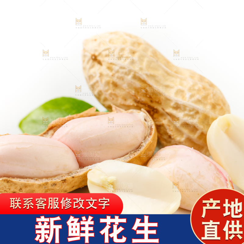 白底上的湿花生和花生米