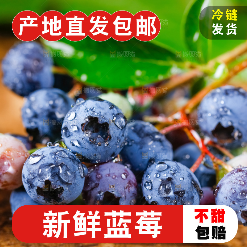 深底上摆放着蓝莓