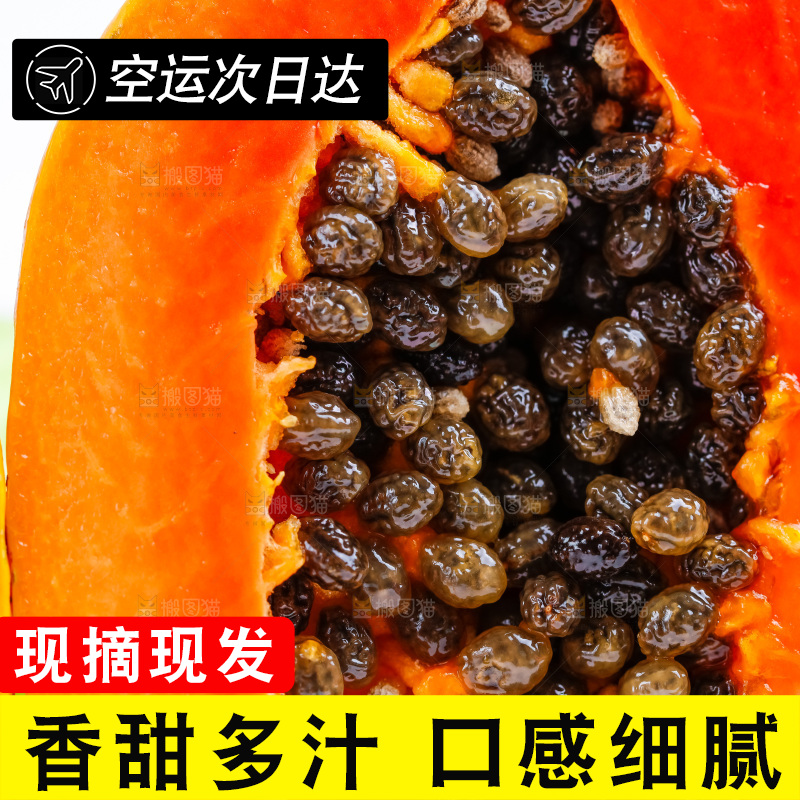 白底上放着海南红心木瓜