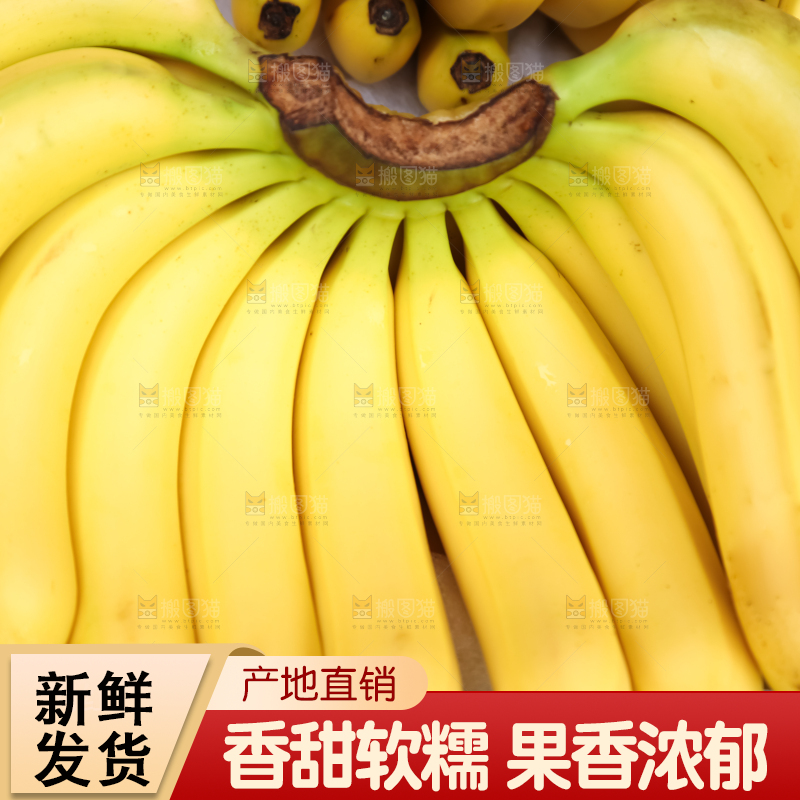 一串黄皮香蕉