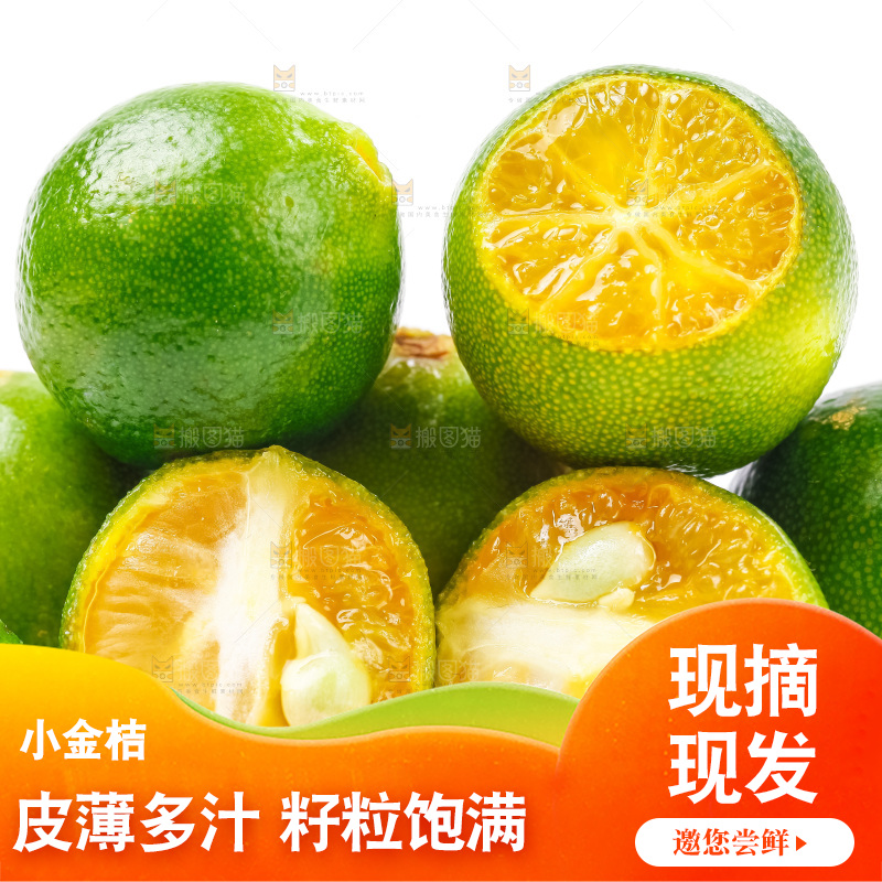白底上放着小金桔