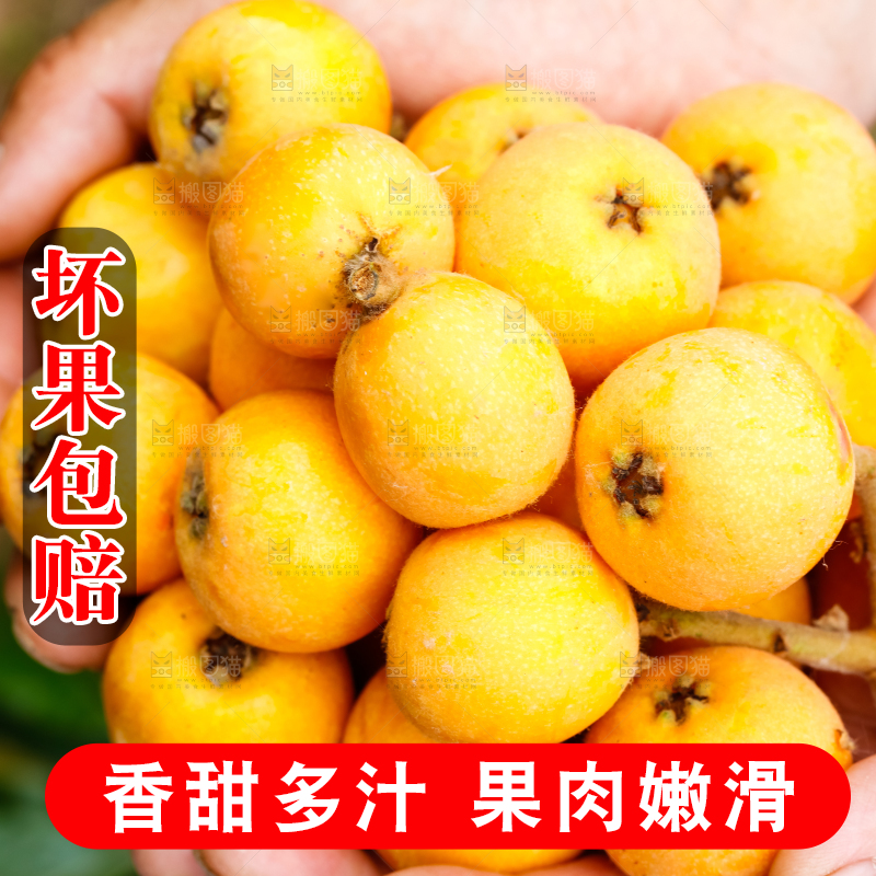 手里捧着枇杷