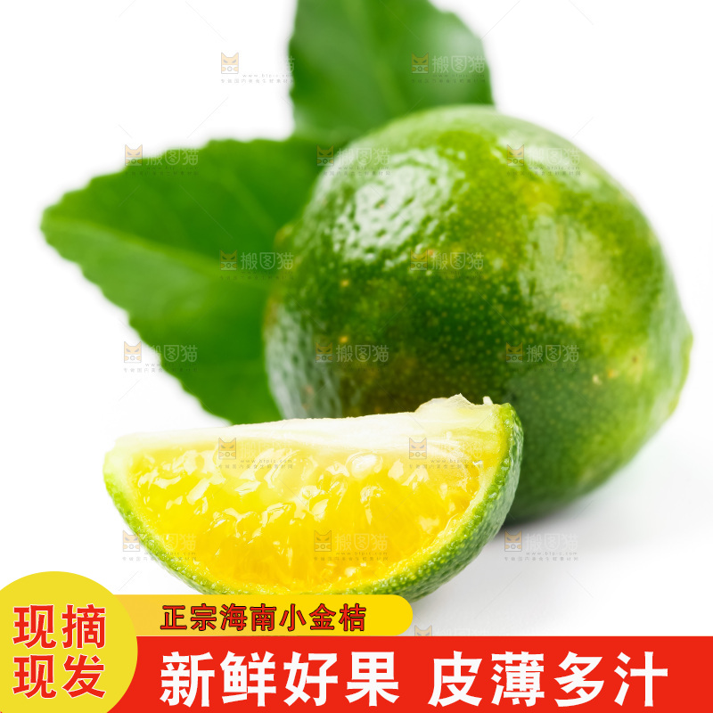 浅底上摆放着小金桔