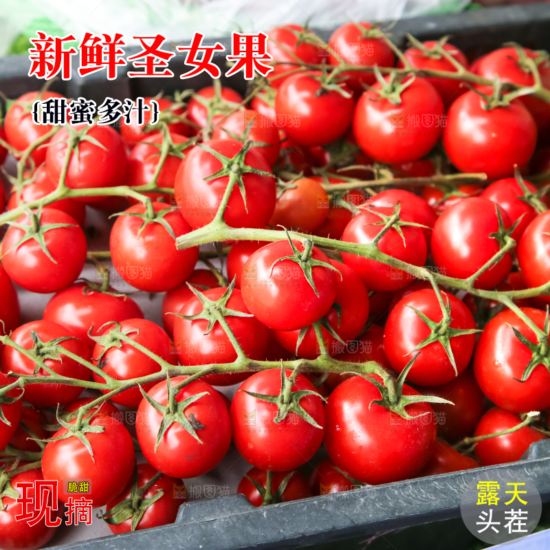 篮子里的圣女果