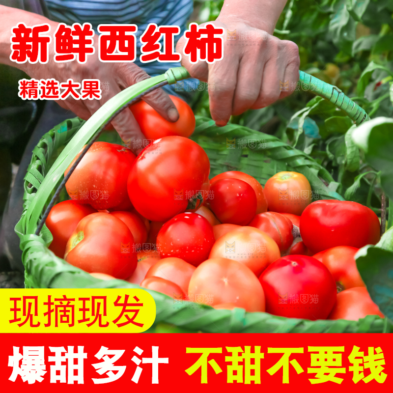 篮子里的西红柿