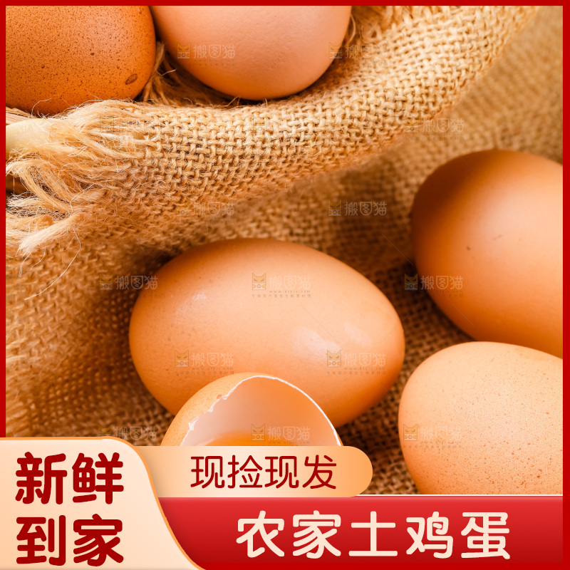 木底上的新鲜土鸡蛋
