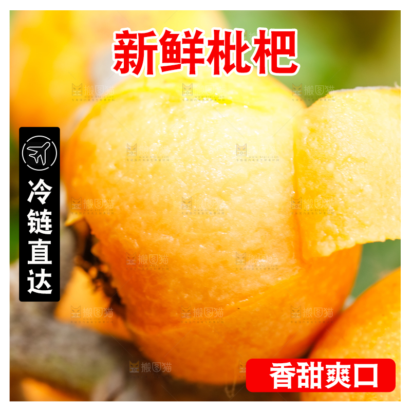 户外的枇杷果