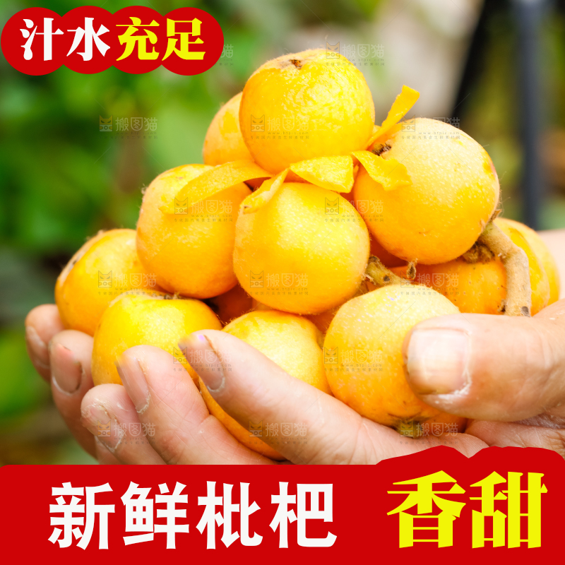 手里捧着枇杷