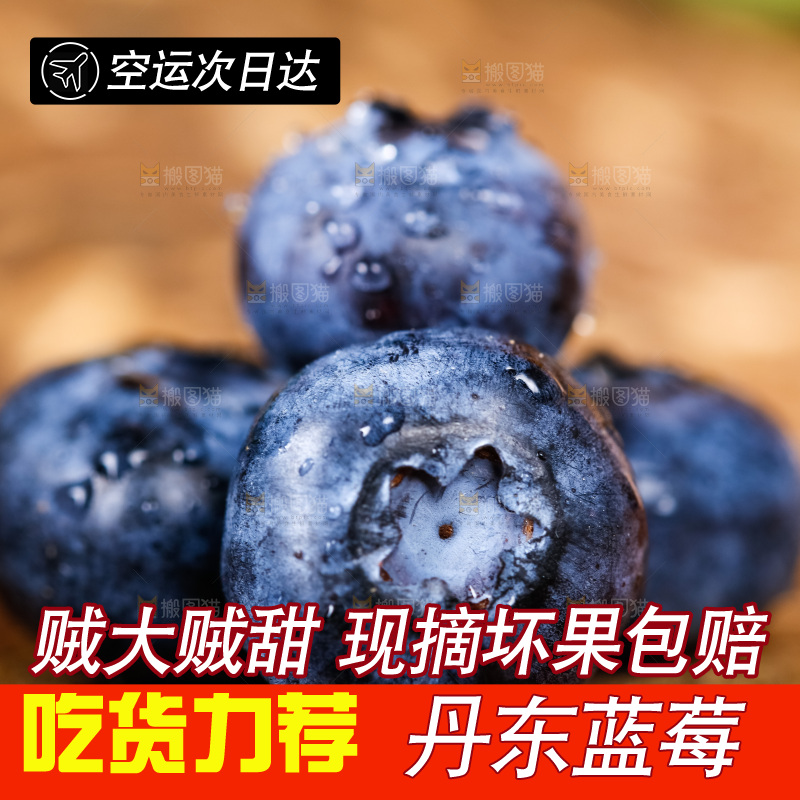 深底上摆放着蓝莓