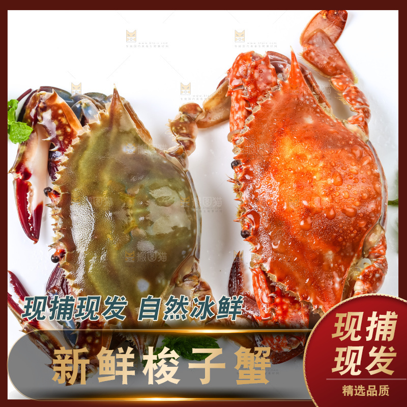 白底上摆放着海蟹
