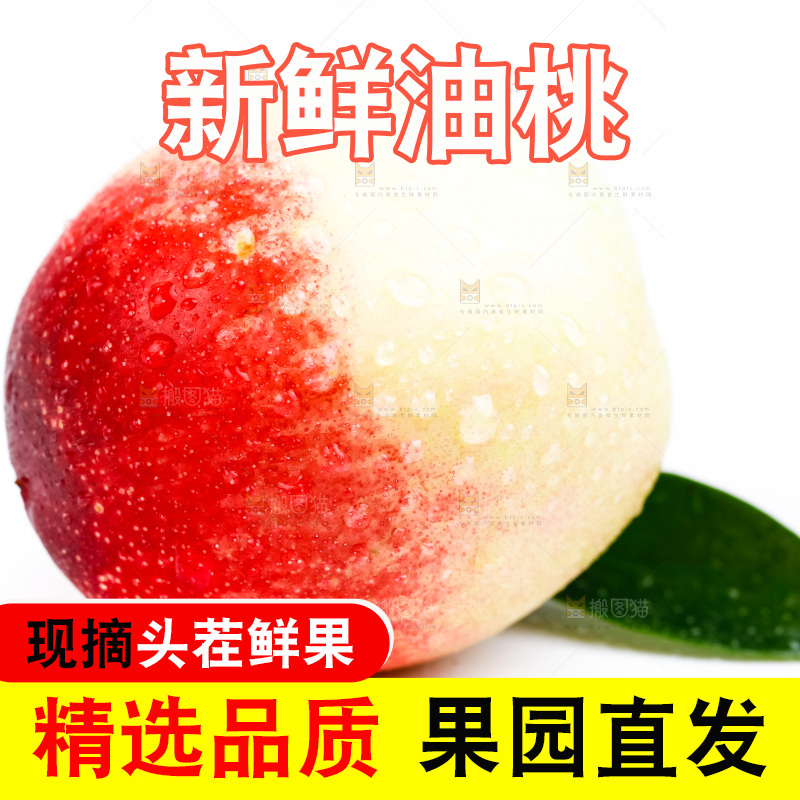 白底上的新鲜油桃
