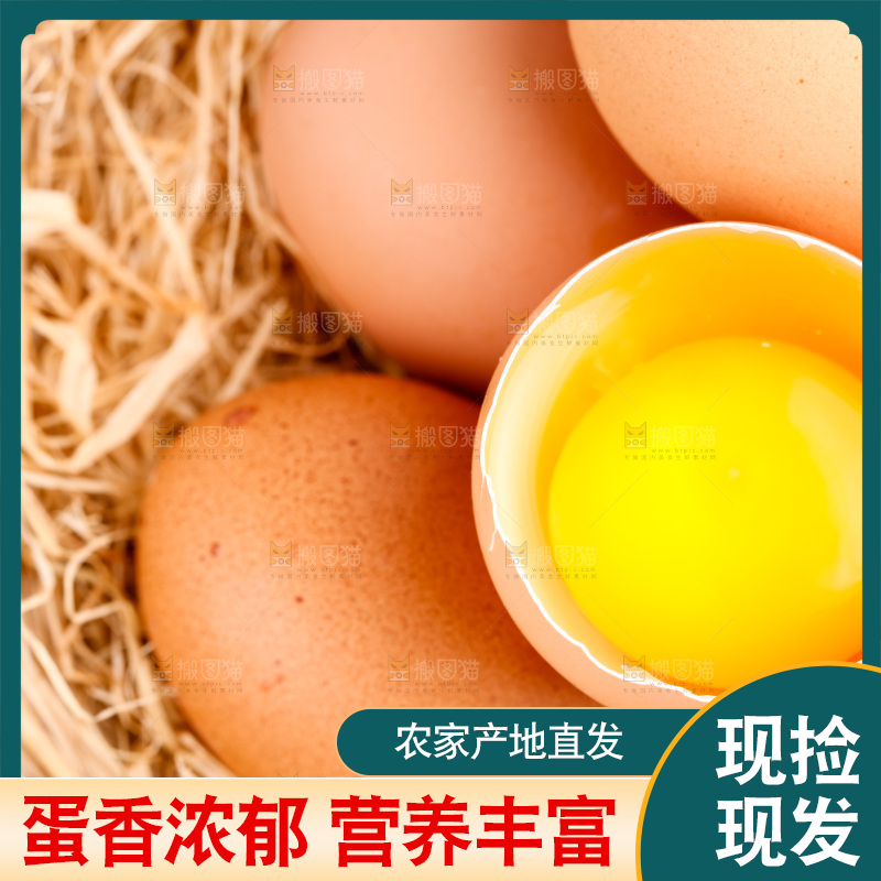 白底上的新鲜鸡蛋