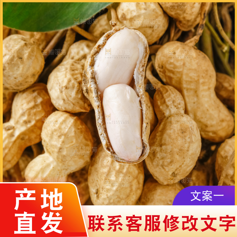 白底上的新鲜花生