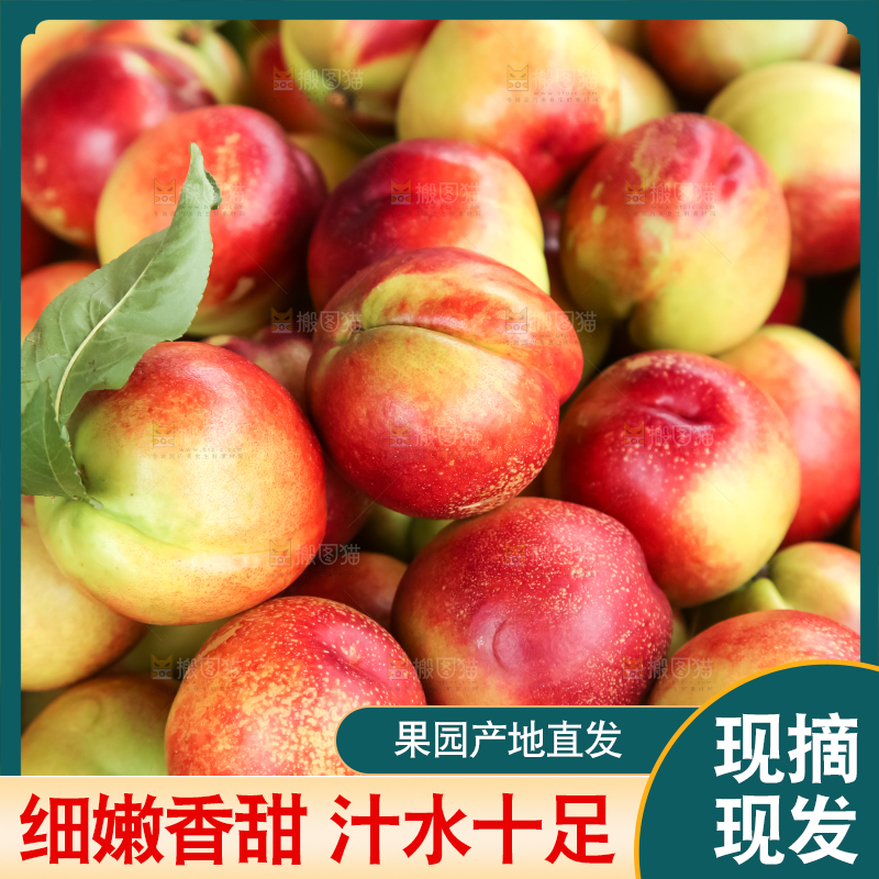框子里装着油桃