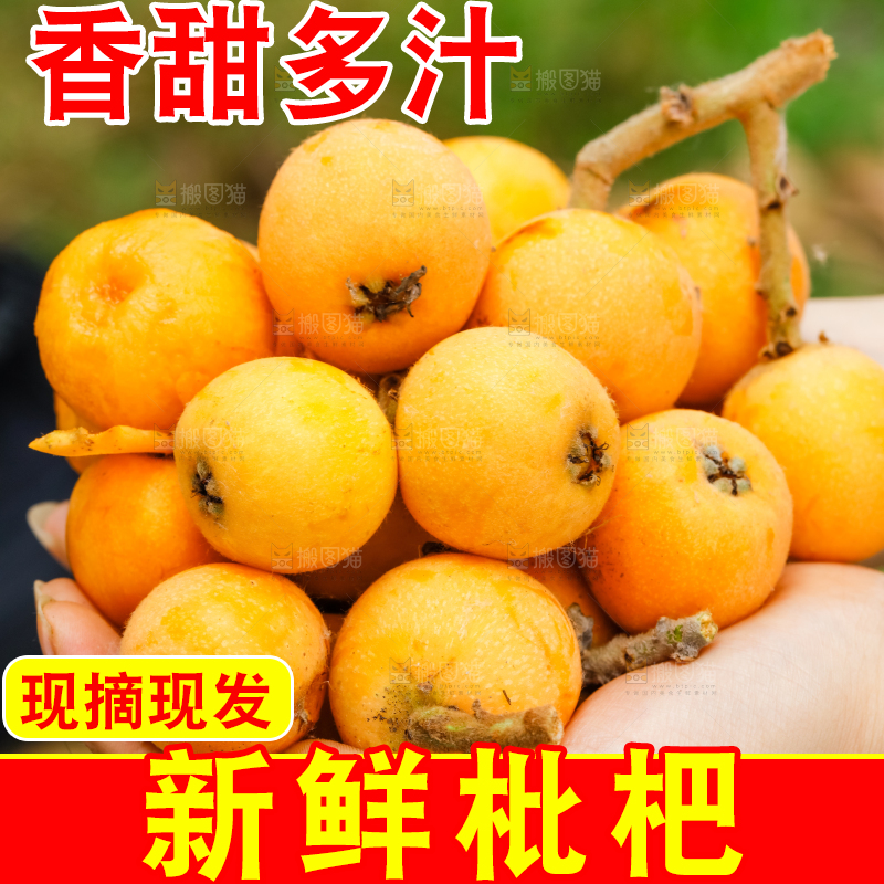 手里捧着新鲜枇杷