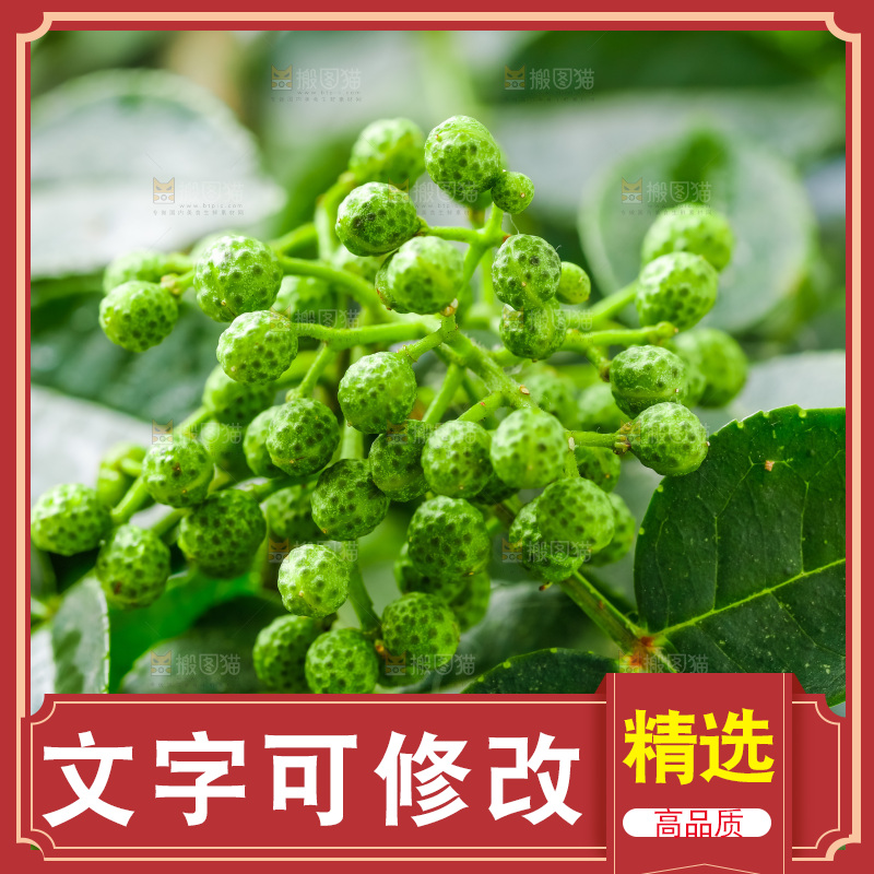 枝叶上的青花椒