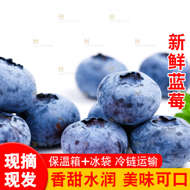 浅底上放着蓝莓果