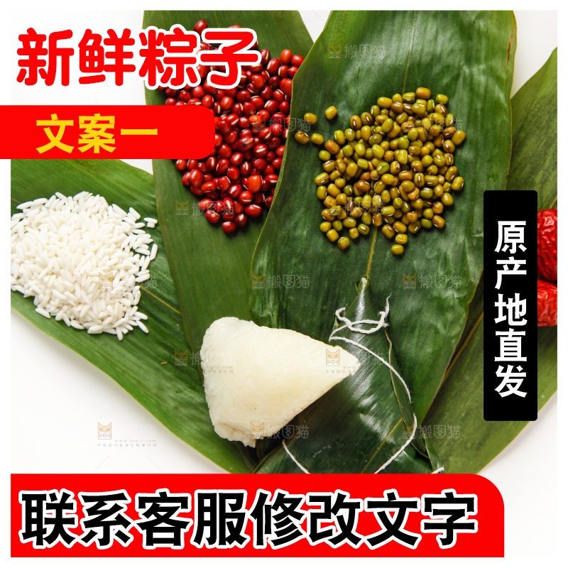 粽子和粽子食材放在白底上