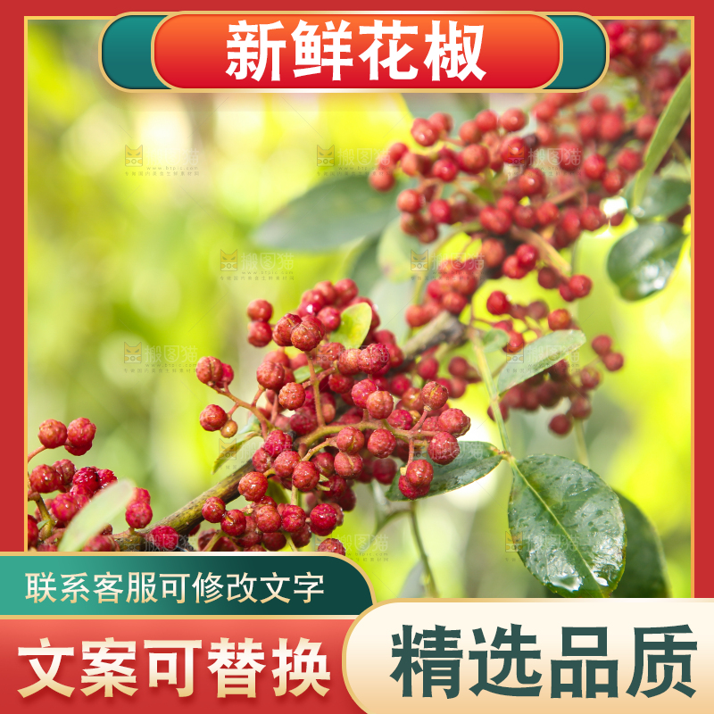 户外的红花椒