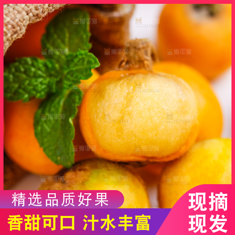 袋子里装着新鲜枇杷