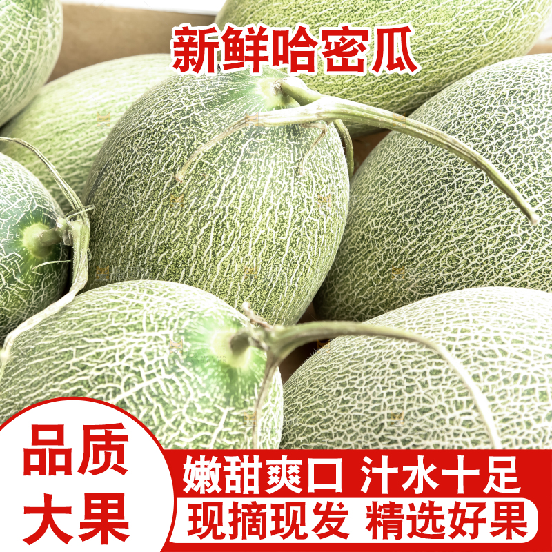 框子里的哈密瓜