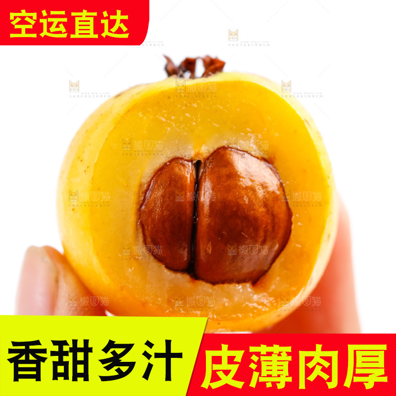 手里拿着枇杷果
