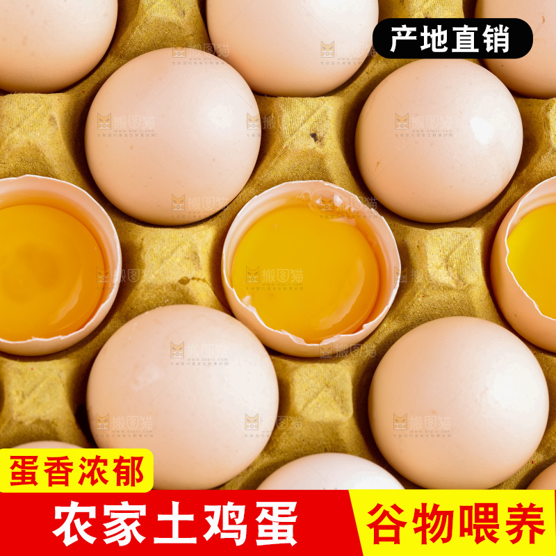白底上的柴鸡蛋
