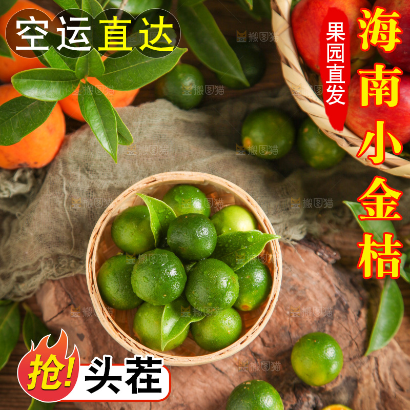 篮子里装着小金桔