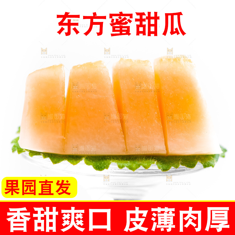 浅底上的东方蜜瓜