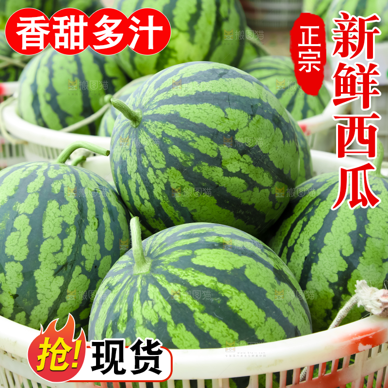 框子里装着西瓜