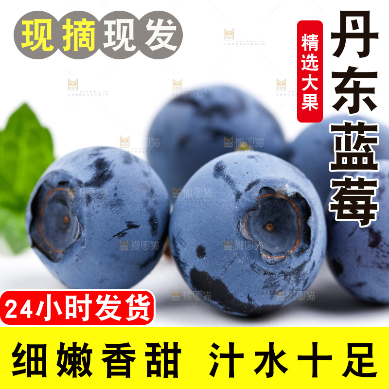 白底上摆放着蓝莓