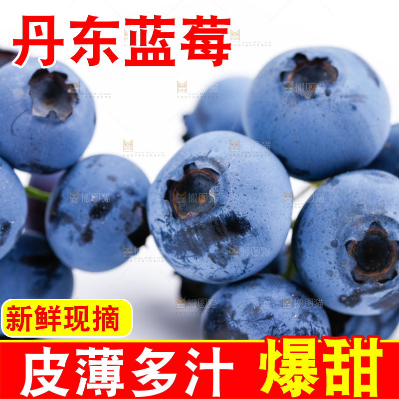 白底上摆放着蓝莓
